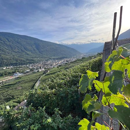 Sanmartino Suite Tirano Exteriér fotografie