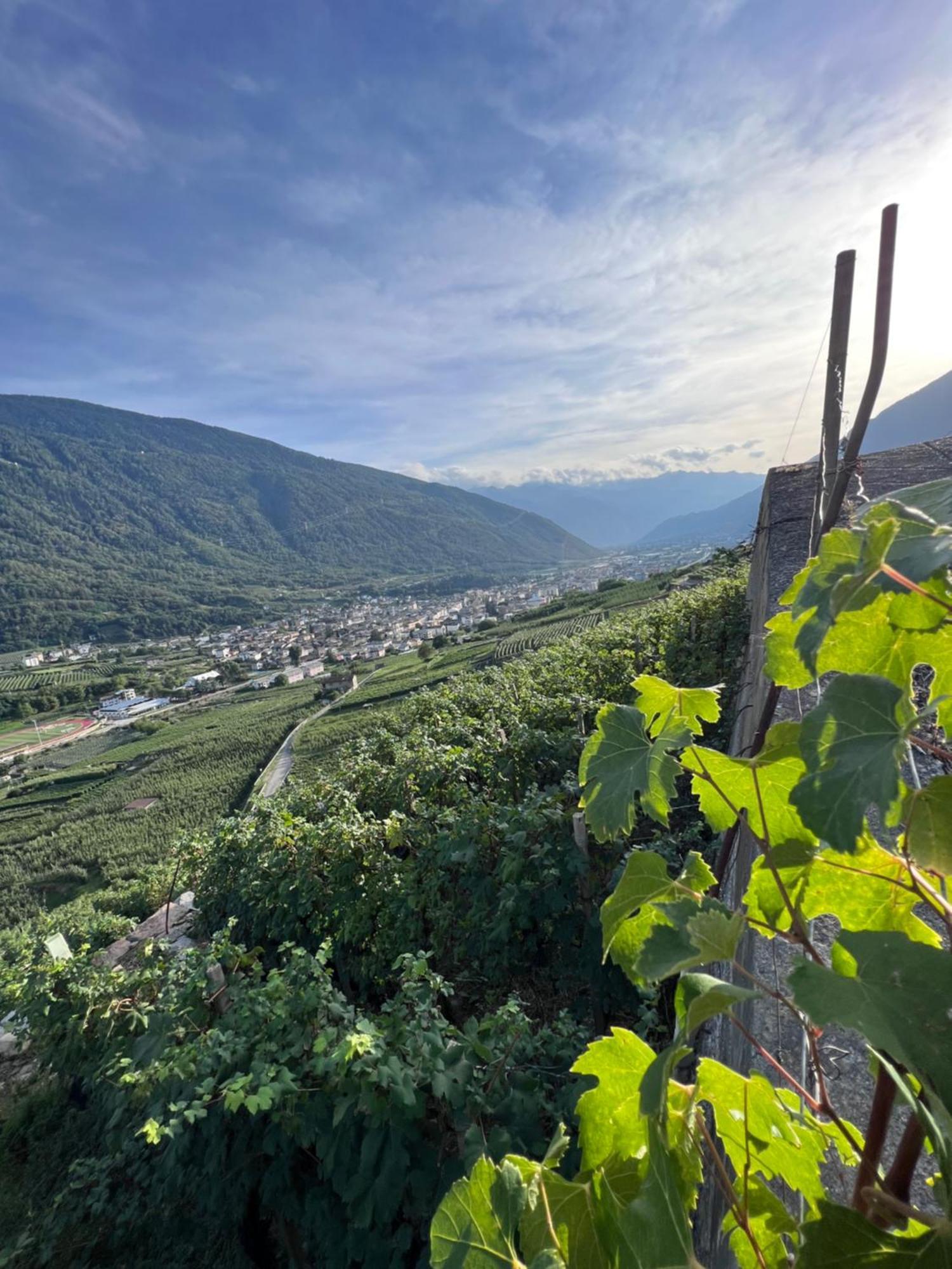 Sanmartino Suite Tirano Exteriér fotografie